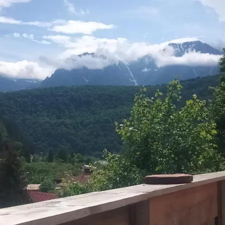 Doi Iepuri